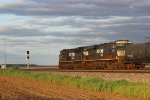 NS 1106 8166